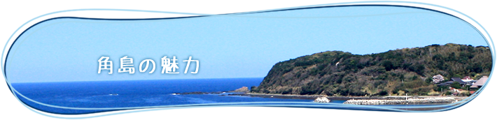 角島の魅力